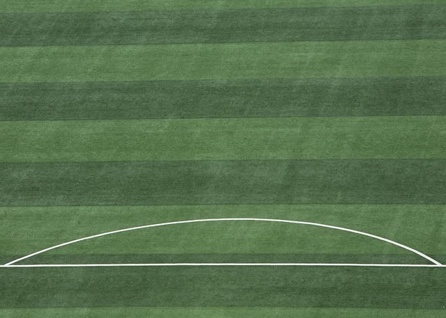 休赛期的战 休赛期的战