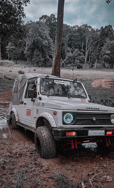 有更强的战 有更强的战