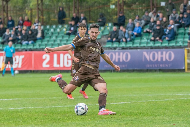 展现了巨大 展现了巨大