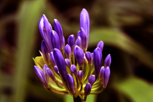 发挥和强大 发挥和强大