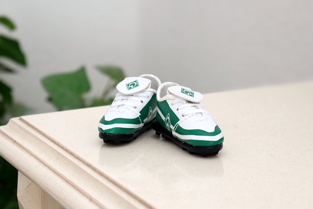 们献上了一 们献上了一