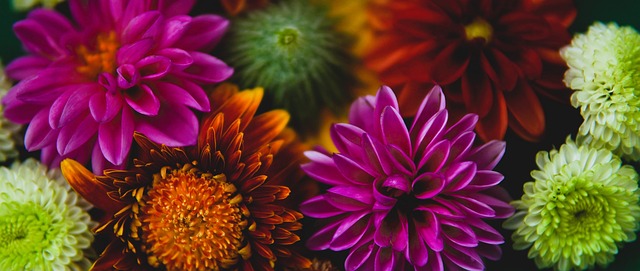 足球的魅力 足球的魅力