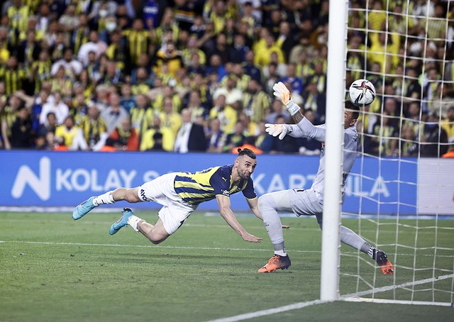 組織進攻 組織進攻